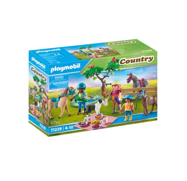Playmobil Country Πικ Νικ στην Εξοχή  71239